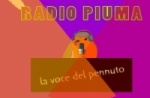 radio piuma